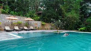 Raindrops Resort Wayanad - Image 4