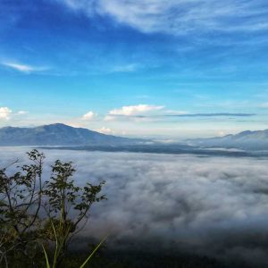 Deluxe Wayanad Family Tour Packages 2 Days