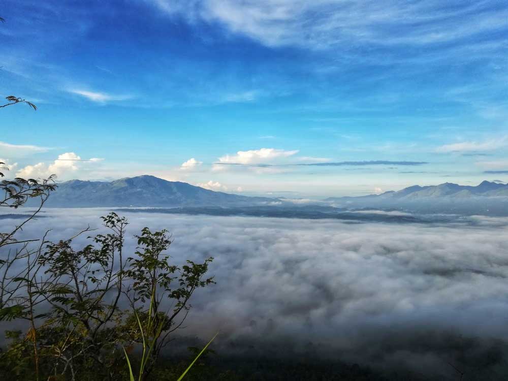 Deluxe Wayanad Family Tour Packages 2 Days