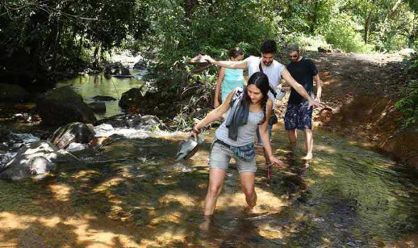 Luxury Wayanad Family Tour Packages 2 Days