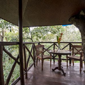 Pepper Trail Resort Wayanad