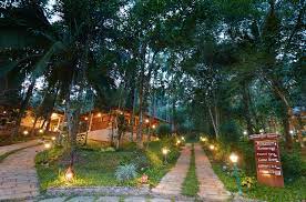 Raindrops Resort Wayanad - Image 3