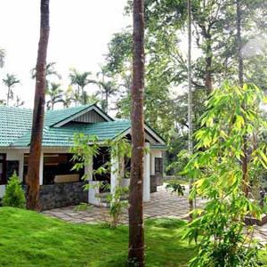The woods Resort Wayanad