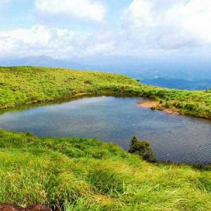 Premium Wayanad Honeymoon Tour Packages 2 Days