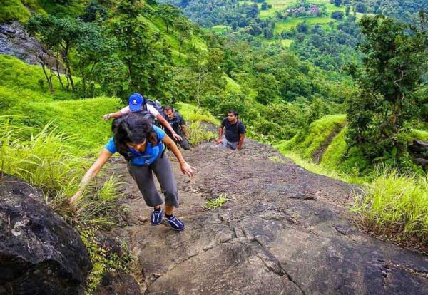 Wayanad Hiking Tours