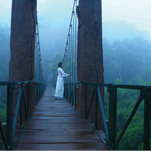 Luxury Wayanad Honeymoon Tour Packages