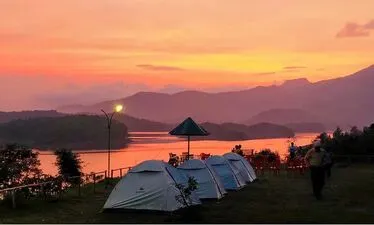 Day Tour Wayanad Tour Packages